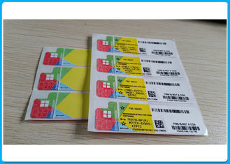 Microsoft Windows 10 Home / Professional 32/64 Bit DVD COA Lisans Sticker USB Orijinal Windows 10 OEM
