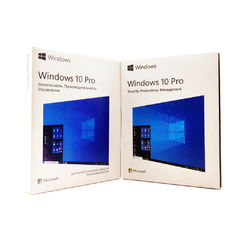 800x600 1GB RAM Windows 10 Professional Perakende USB Kutusu Coa Key WDDM 1.0